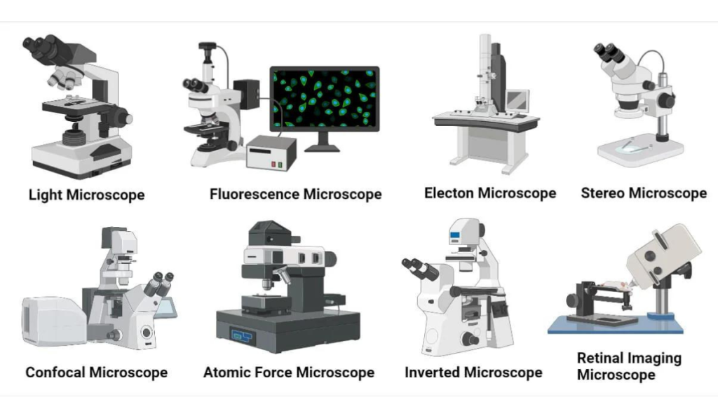 Types of Microscopes and Their Applications in Nature
