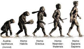 Characteristics of Homo sapiens
