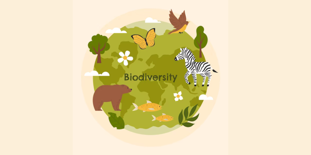 Biodiversity
