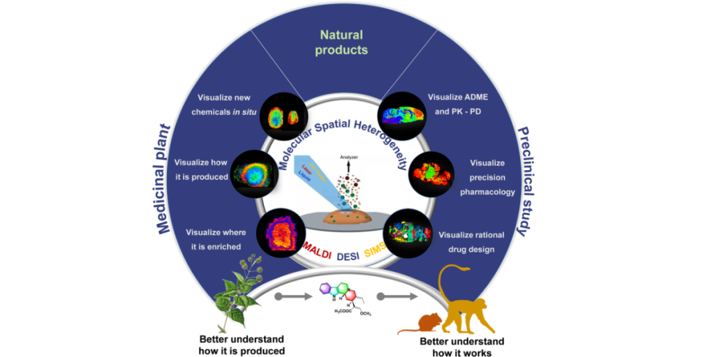 Mass Spectrometry
