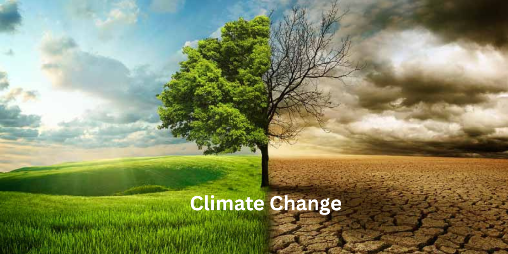 Climate Change
