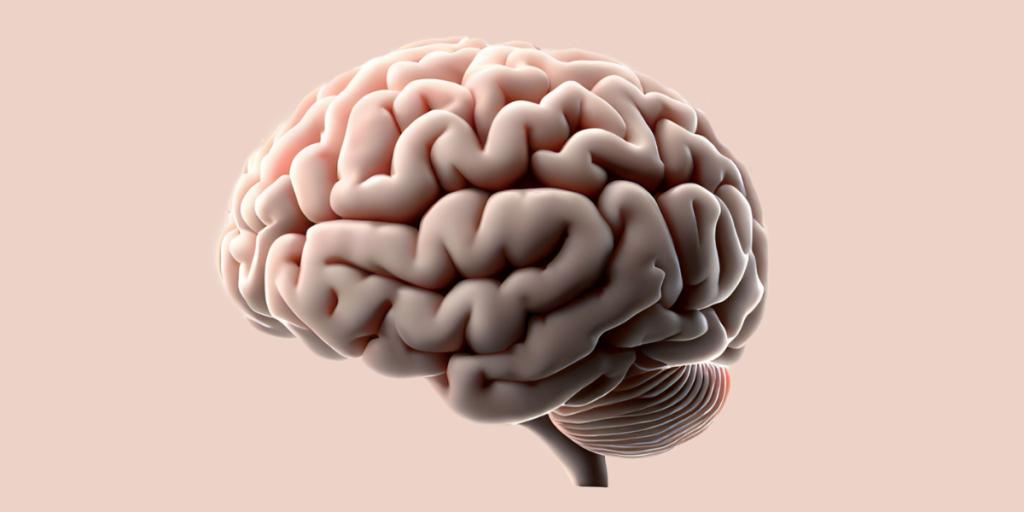 Neuroscience
