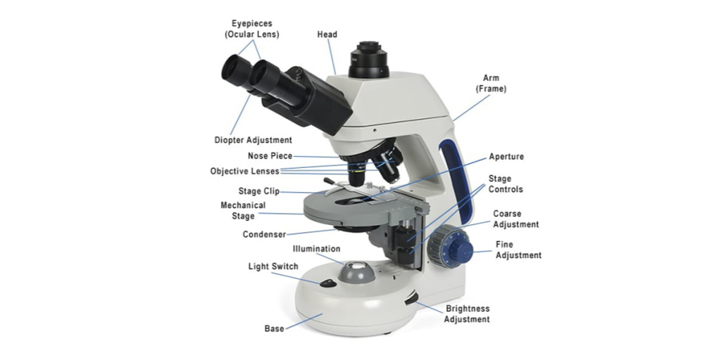 The Microscope
