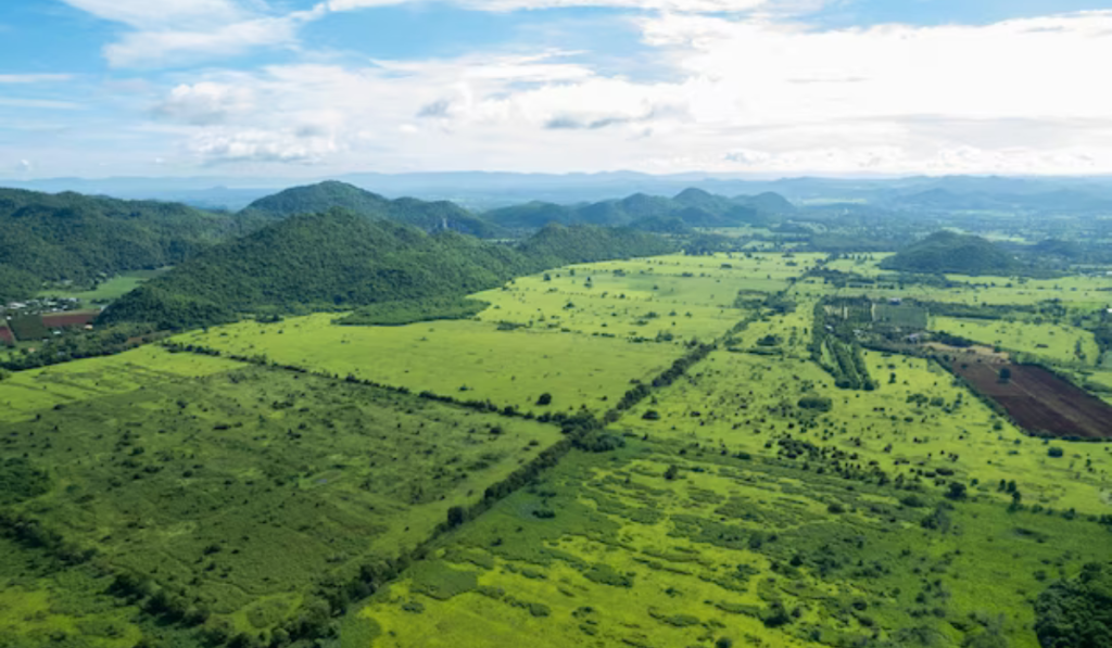 Natural Science Fields in Ethiopia
