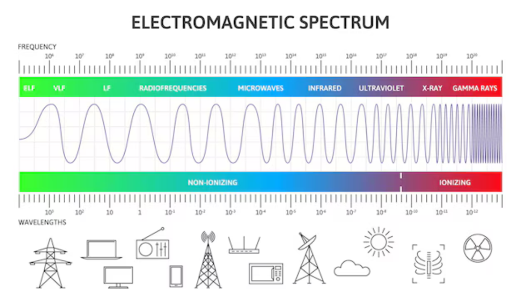 Mass Spectrometry Analysis